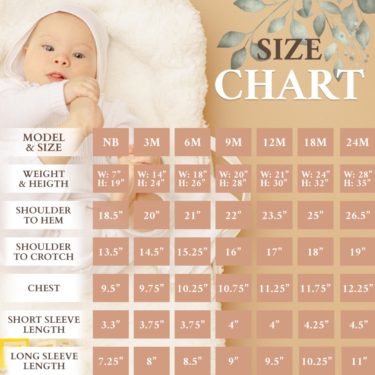 Infographics Share It Studio infographics-share-it-studio