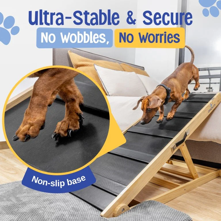 Dog Ramp Lifestyle_1