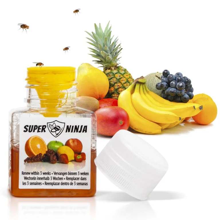 Fruit Flies (US) Hero Image_1